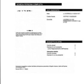 In quali società un soggetto detiene cariche sociali