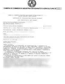 Verificare l’iscrizione in Camera di Commercio di una societa